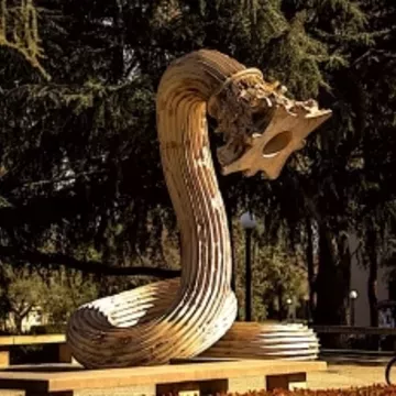 Sculpture of a coiled column on Stanford campus